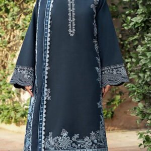 🌸 Steel Blue Dhanak Embroidered 3-Piece – Premium Pakistani Collection